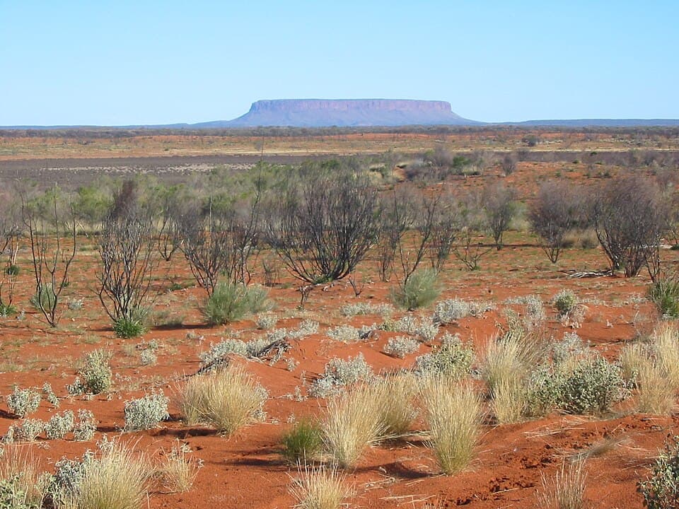 Australian cinema keeps going back to drought because drought never really left